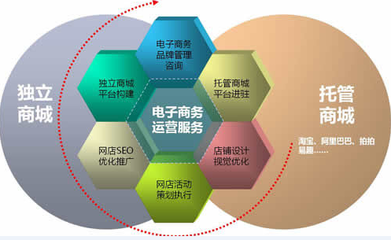 四川省广元市电商（淘宝）高峰论坛会 电子商务运营服务的创新与实践