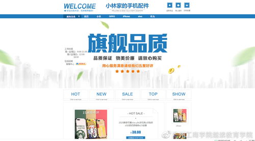 2020电子商务网店策划与经营技能竞赛 电子商务运营服务的核心与实践